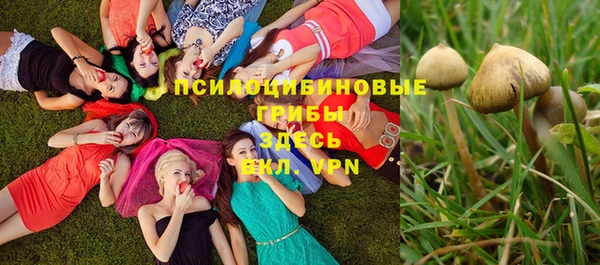 спайс Алзамай