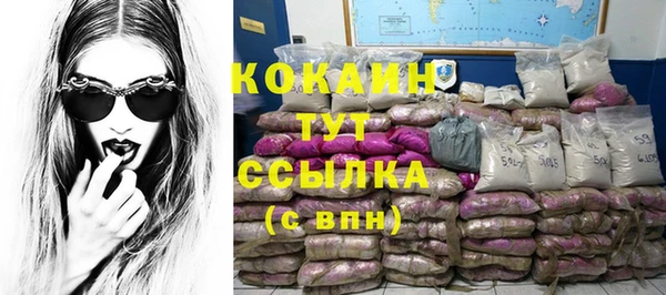 спайс Алзамай