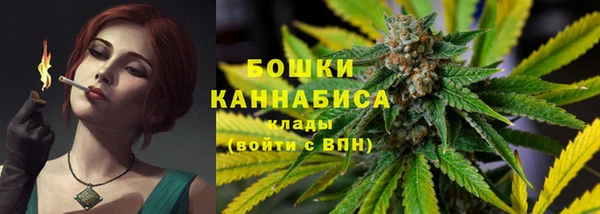 PSILOCYBIN Армянск
