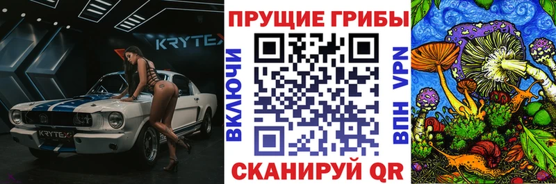 Псилоцибиновые грибы Psilocybine cubensis  Белебей 